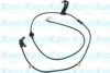 KAVO PARTS BAS-8525 Sensor, wheel speed